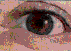 Click to the top
Cliquer pour le haut
Clicate per andare al alto
Clique para o topo