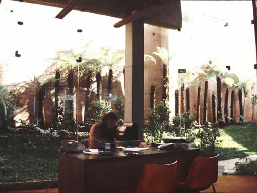 Internal rear garden view.
Click to go forward
Cliquer pour avancer
Clicate per andare avanti
Clique para ir adiante